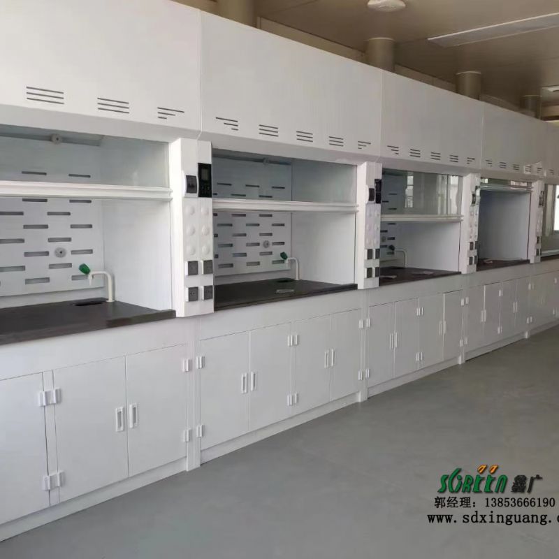 山東實(shí)驗(yàn)室排風(fēng)柜實(shí)驗(yàn)臺通風(fēng)柜制造廠家